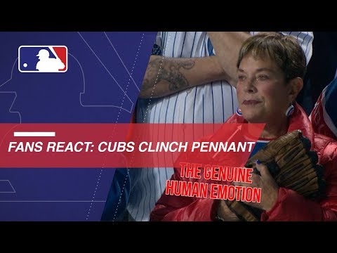 Video: Cubs fans react to reaching World Series