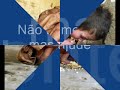 crianças da africa fome