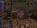 Lineage 2 - Frogs gludio siege