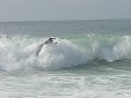 videos windsurf