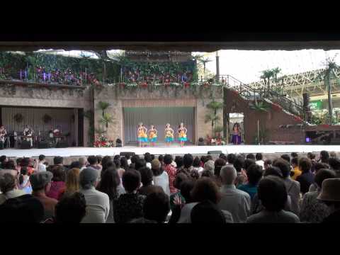 美しきハワイ20130319後半