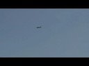 Thunder Tiger Rare Bear Remaiden RC Airplane Thunder Tiger Rare Bear Remaiden RC Airplane