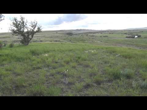 Grasslands National Park