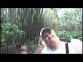 animal kingdom animal kingdom