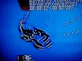 trippy recursive video feedback