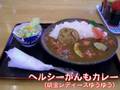 奥美濃カレー PV