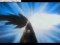 videos de Bleach AMV