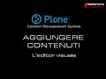 Manuale Plone 3 - 2.3 L'editor visuale
