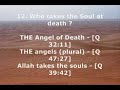 funny contradictions in the bible 2