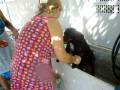 videos de Perro poseido/Dog possesion