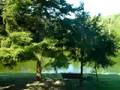videos de Robin Hill Camping Resort Drive