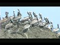 Hacienda Pinilla Costa Rica -  Beaches & Nature
