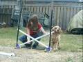 videos de Maple's cute contest entery