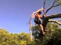 Nacho Vidal en el �rbol