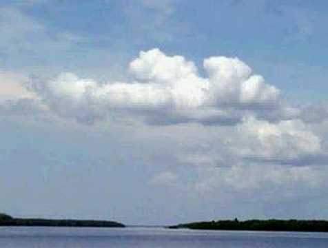 how to read weather forecast