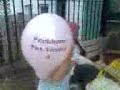 Peckham Dog Parade 3