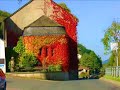 Esther Ofarim - Automne (dans tes bras je serai) Esther Ofarim - Automne (dans tes bras je serai)