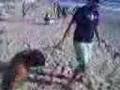 videos de asi se bañan las necoras en perto