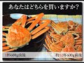 「海賊.com」のカニ通販広告は興味をそそる カニ通販