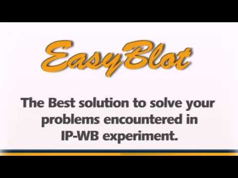 how to perform immunoprecipitation