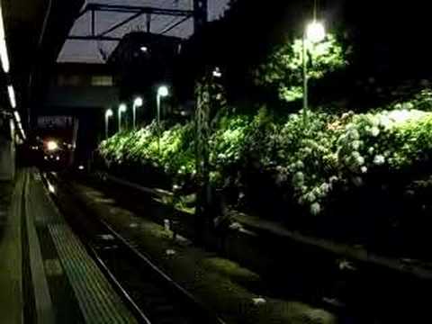 京王井の頭線　東松原駅あじさいライトアップ