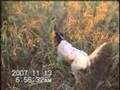 25分間ノーストップ!ノーカットでの撮影!1/3の映像です