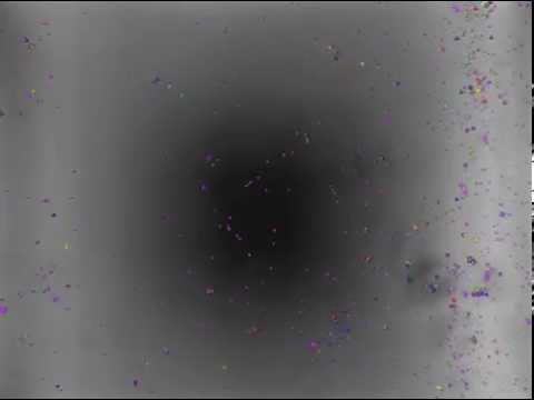 how to measure nf-kb