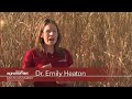 Miscanthus: Ethanol Yield Miscanthus: Ethanol Yield
