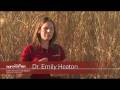 videos de Miscanthus: Ethanol Yield