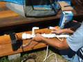 Aquarium UV Sterilizer Installation Demonstration