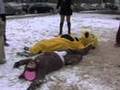Ann Arbor Film Festival - Giant Animal Badminton
