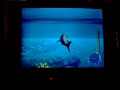 jaws-vs-coast-guard.html