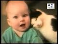 Compilacion V2: Goles Más Tontos & Gatos Divertidos