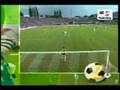 Compilacion V2: Goles Más Tontos & Gatos Divertidos