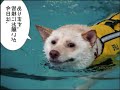【動画版】I.C.カードの名称ははやかけんなのか？最終鬼畜ライナーメトロF