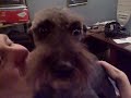 Junior - After being groomed