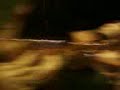 Vidéo-0015.mp4