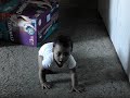 Cayla walking w/ box 3