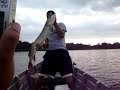 46 inch muskie 46 inch muskie
