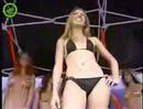 Bikini Wedstrijd