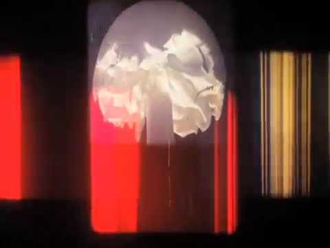 The Films of Rose Kallal