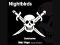 Sunchyme 2008 - Nightbirds (Simon de Jano mix)