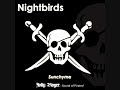 Sunchyme 2008 - Nightbirds (Simon de Jano mix)