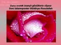 Ask Bezirgani 