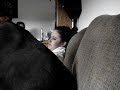 Brianna Brianna