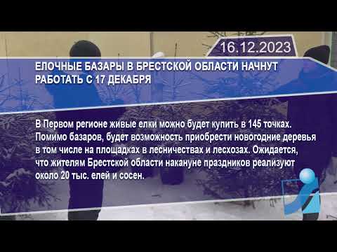 Новостная лента Телеканала Интекс 16.12.23.