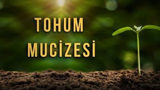 TOHUM MUCİZESİ  ᴴᴰ