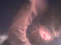 naxo jaime creazy dance