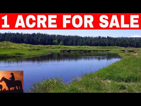 weyerhaeuser acre financing owner