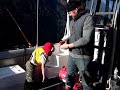 Bows Davit antics.wmv